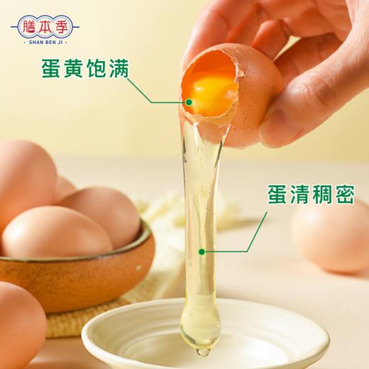 阿林甄选山林散养新鲜土鸡蛋50枚 商品图1