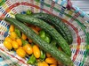 年卡时令套装菜箱 商品缩略图9