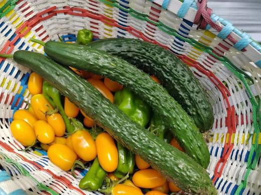 年卡时令套装菜箱 商品图9