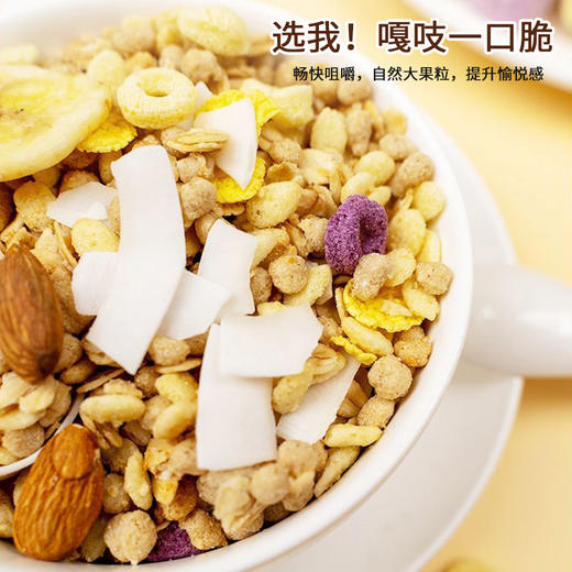 大果粒酸奶坚果燕麦脆500g袋装开袋即食高膳食纤维团购福利企业零食福利 商品图3