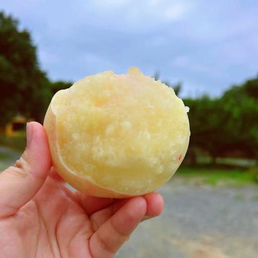 新鲜水果-奉化水蜜桃5斤左右【SP】 商品图6