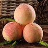 新鲜水果-奉化水蜜桃5斤左右【SP】 商品缩略图2