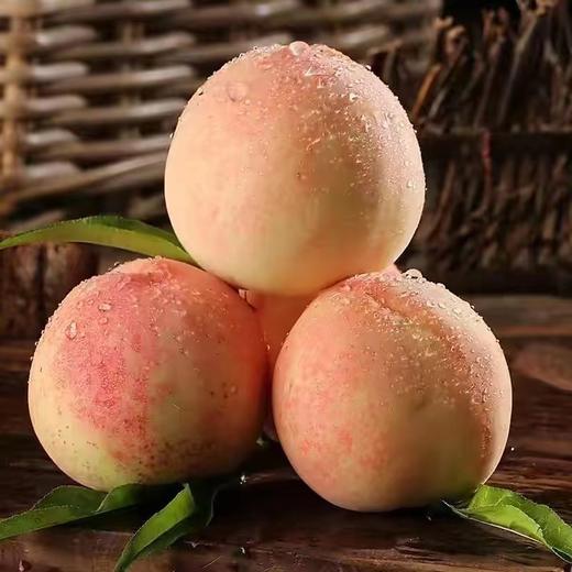 新鲜水果-奉化水蜜桃5斤左右【SP】 商品图2