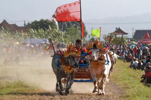 8.23确定出发【印尼巴厘】马克普奔牛祭•钢芭图尔火山•卡朗库塔巴东沙滩7天摄影团<环球寻梦> 商品图4