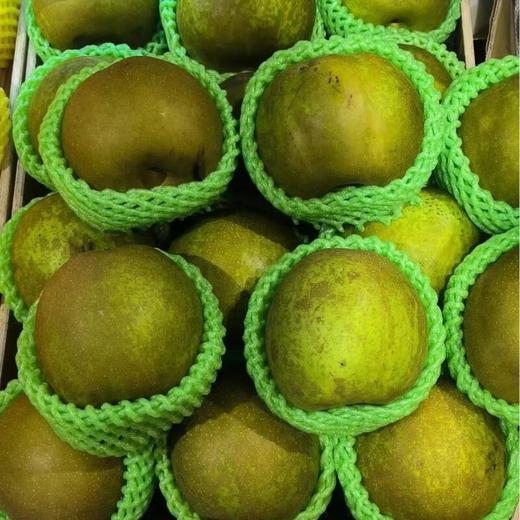 叶氏翠冠梨 700/份 商品图0