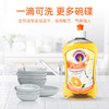 大公鸡管家 浓缩洗洁精（香橙味）500ml*2瓶 8015194100254 商品缩略图2