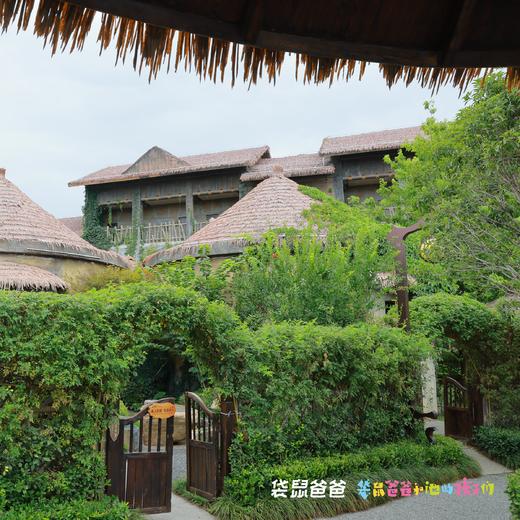 房间数量少限500套！【袋鼠爸爸去哪儿 | 中华郡远古客栈➕游玩套票4选1】位于中华郡景区内，远古特色。景区内有温泉、机械乐园，百草园，美食街，科普馆，昆虫博物馆等，适合一家老小一站式遛娃度假！ 商品图2