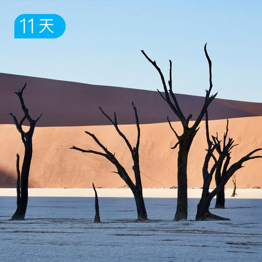 荒凉的尽头·纳米比亚 商品图0