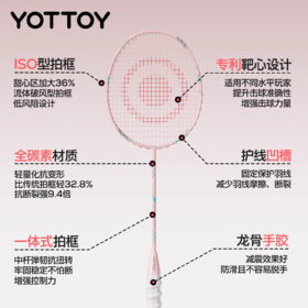 羽毛球拍【YOTTOY】羽毛球拍官方旗舰店套装成人专业级全碳素耐打球拍