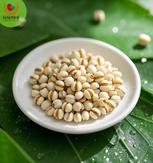 神洲杂粮 罐装薏米340g*2罐 商品图2