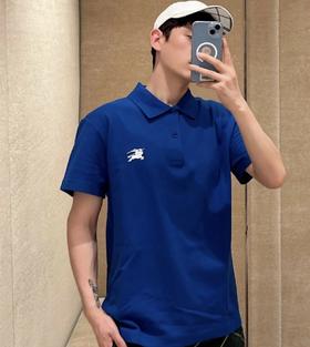 售完无补  香港贸y公司  战马polo衫  三色翻领短袖  升级版面料 战马徽标