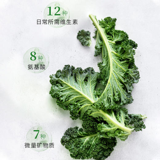 有机冻干羽衣甘蓝粉 商品图2