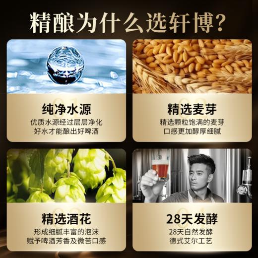轩博黄金版 11度全麦精酿啤酒 880ml*6   聚会畅饮【臻选好酒】 商品图3