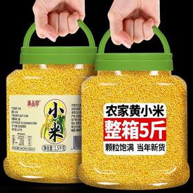 【现磨新货，细腻饱满~】小米黄小米新米5斤 正宗农家黄小米 粗粮五谷杂粮 月子米早餐小米粥-QQ
