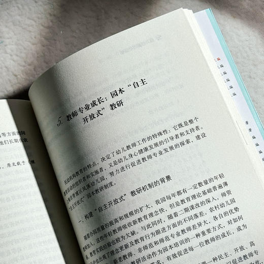 幼儿教师专业成长 幼儿教师培训用书 吴玲 葛金国 大夏书系 商品图11