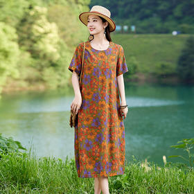 气质时尚洋气减龄复古文艺风连衣裙女2025年夏季上新遮肉显瘦透气WN25019