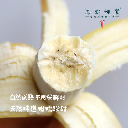 生态老实芭蕉（又名粉蕉）/香蕉（基地直发-顺丰包邮） | 2.8斤，4.8斤，来自云南玉溪，生产者：张扬【合作生产，公平贸易】 商品图1