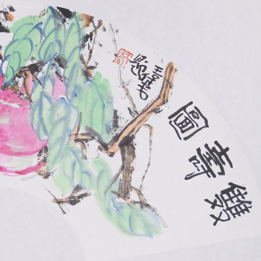 王保安《双寿图》国画原作32CM*63CM 手绘宣纸扇面花鸟作品 商品图4