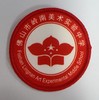 通版佛山市岭南美术实验中学包边校徽布标姓名贴章可缝烫现货发51 商品缩略图0