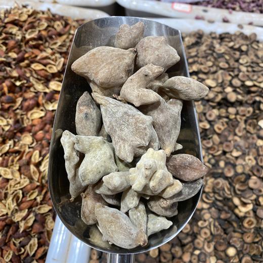 五倍子 商品图1