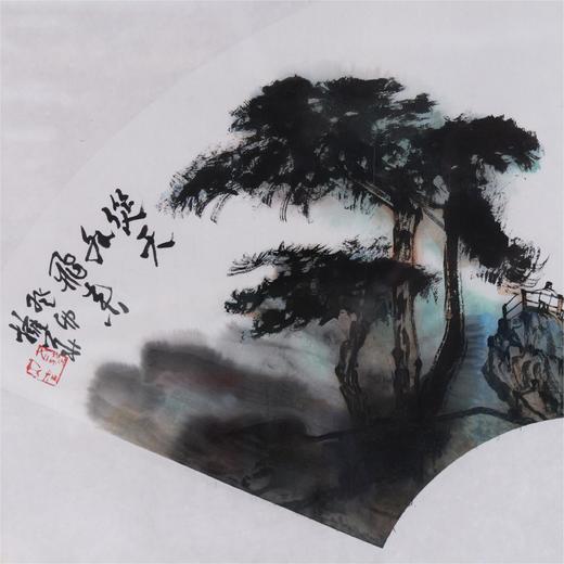 蔡拥华《从天外飞来》国画原作32CM*66CM 手绘宣纸扇面【含框】 商品图3
