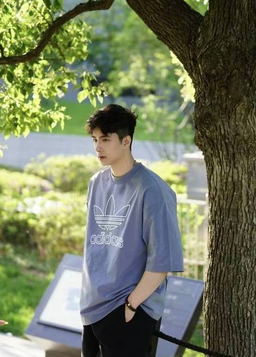 外贸单稀缺配色AD多彩男女棉T 商品图4