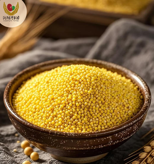 神洲杂粮 小米 1070g/包 商品图2