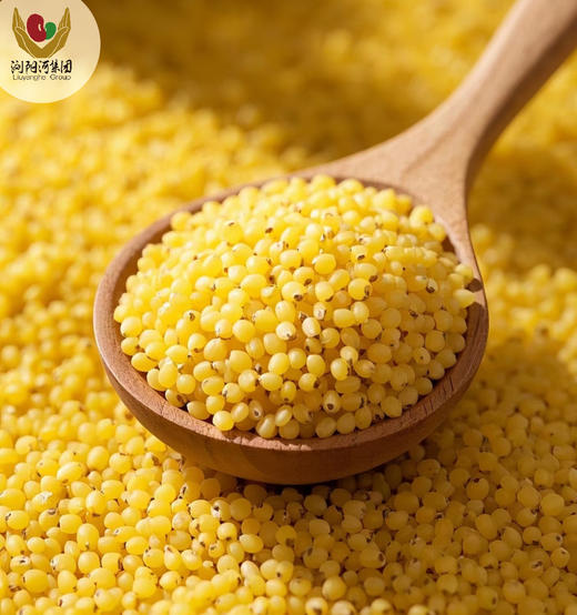 神洲杂粮 小米 1070g/包 商品图1