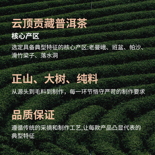 云顶贡藏·名山名寨2020年普洱生茶1785g 商品图9