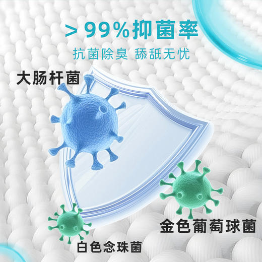 复新微控-免洗清洁手套-三椒植萃舒缓净螨款 商品图3