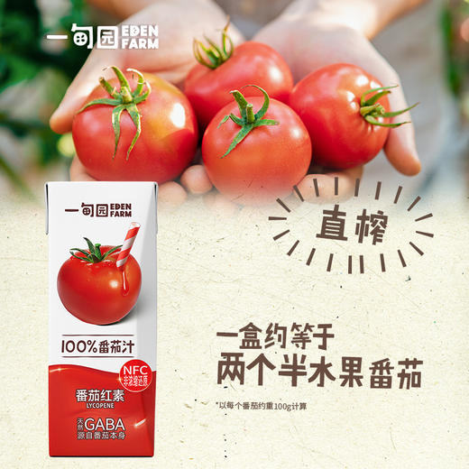 一甸园纯蔬菜汁/番茄汁 200ml*10盒 商品图1