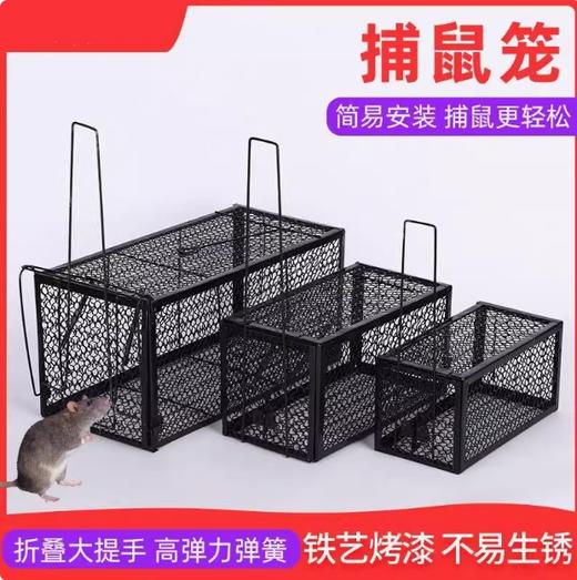 【JL】铁质老鼠笼23*11.5*11.5 商品图0