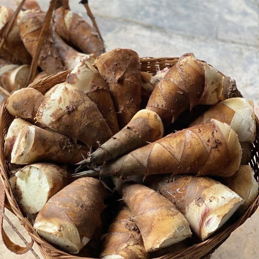 云南有机新鲜龙竹甜笋 净重4斤装 鲜嫩脆甜 可以生吃的新鲜甜笋！ 商品图5