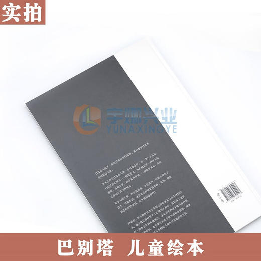 绝版《巴别塔》勃鲁盖尔 只有一个人想要飞 读库 商品图4