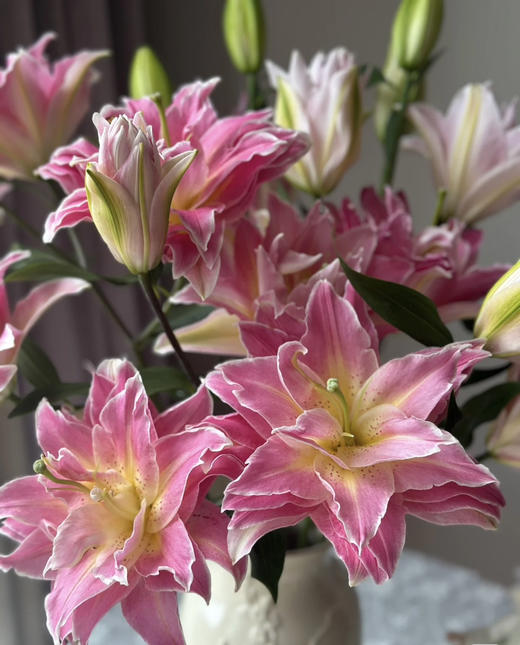 【精品重瓣百合】梦想线 粉色 3头 5枝/扎 商品图1