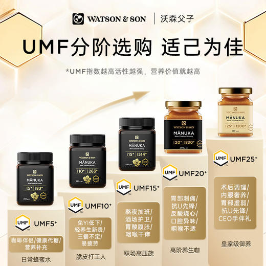 【养胃软黄金】沃森父子麦卢卡蜂蜜（10+  15+  20+  25+）100%原装进口250g/瓶 商品图2