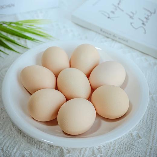 云南一座村柠檬蛋40枚/盒 商品图3