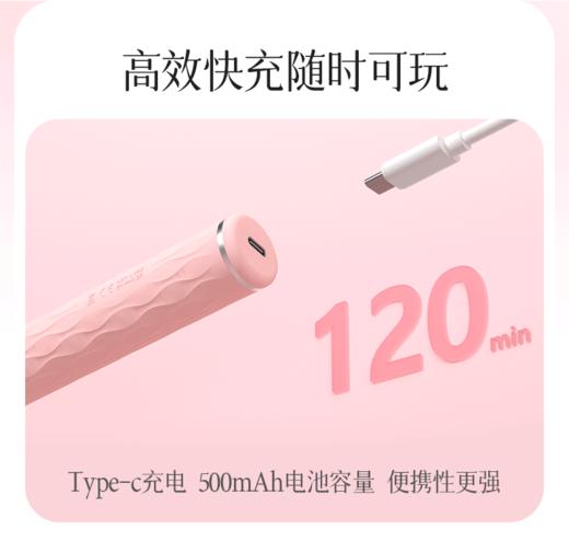 【深潮】Find Her寻欢组合套装  SP电击拍打捆绑束缚强制入体调教道具  方便收纳 操作简单 商品图2