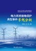 电力系统继电保护典型事件案例分析 商品缩略图1