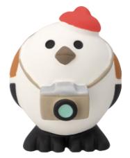 Decole小鸟摄影师 商品图0