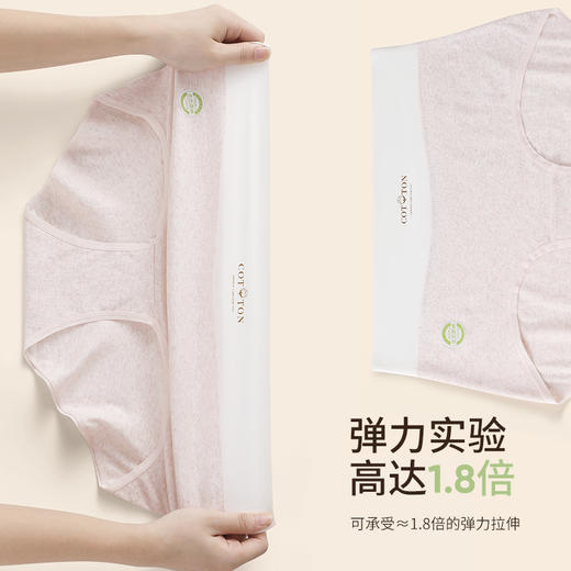 生态彩棉大码内裤纯棉a类全裤7a抑菌加长裆高腰无痕351# 商品图5