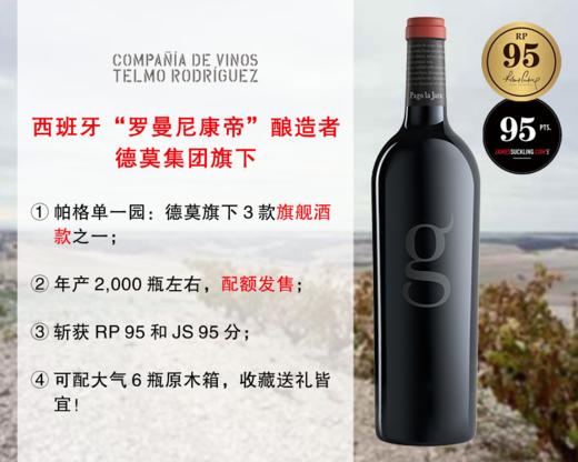 【酒庄直出，最后9瓶】【RP95分+JS95分】正值适饮高峰期｜Telmo出品，必属精品：嘉戈酒庄帕格单一园旗舰干红（2014年） 商品图0
