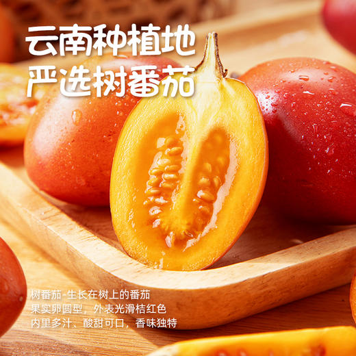 ⁶ 山姆同款【鲜番茄汤料】配料简单，番茄熟后采摘，更酸爽鲜香 可做汤可炖菜可火锅 200g*4袋  SS06-QTT-LY 商品图0