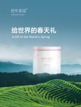 世外茶园滇红茶80g【发中通快递】