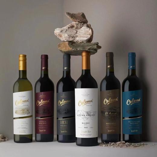 【Colomé】佳乐美极致庄园特浓情 阿根廷原生态葡萄品种特浓情葡萄  阿根廷萨尔塔产区 1700米-2300米高海拔的葡萄园 750ml 年份随机发货 偏远地区不发货或联系客服 商品图7