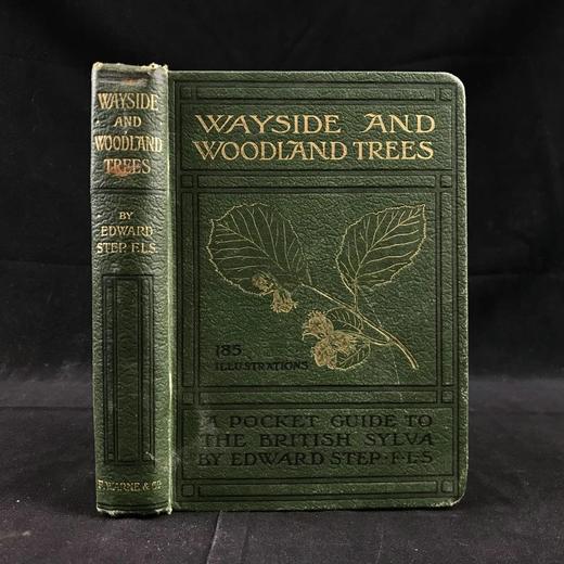 1904年 路边与林地树木指南 127幅插图 漆布精装64开 商品图0