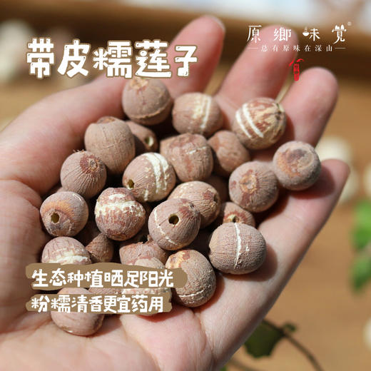 生态糯莲子（成都仓库-顺丰快递） | 310g/袋，来自安徽宣城，生产者：陈华丽【合作生产，公平贸易】 商品图1