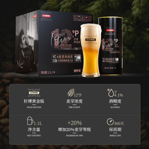 轩博黄金版 精酿啤酒 小麦白啤 1.1L*8大桶  聚会畅饮【臻选好酒】 商品图4