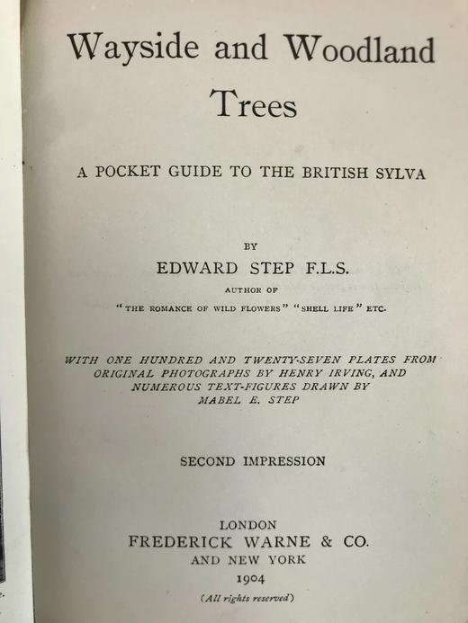 1904年 路边与林地树木指南 127幅插图 漆布精装64开 商品图3