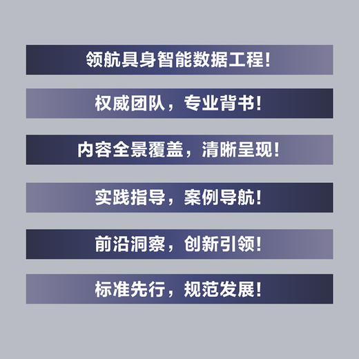 具身智能数据工程 标准 技术与实践指南 具身智能数据 AI 人工智能 大模型 机器人 数据采集教程 商品图1